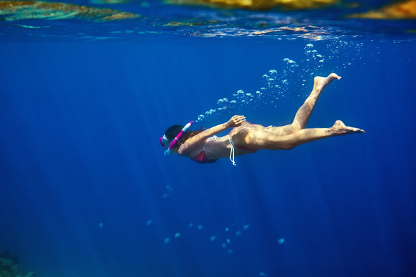 Woman swims underwater in tropical sea  - Photo, Image