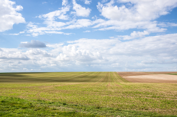 Scenic wheat fields - Фото, изображение