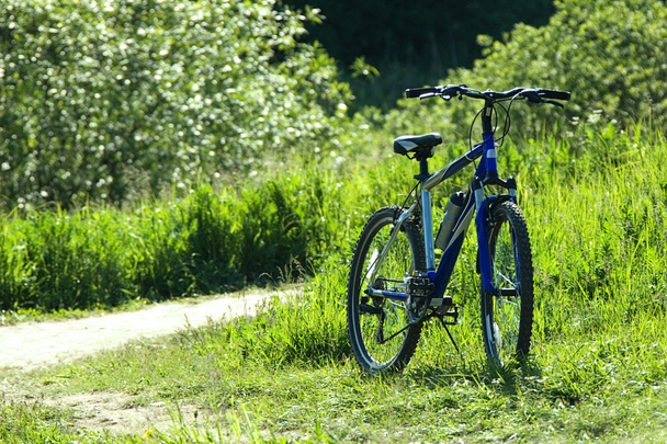 Велосипед в траве
 - Фото, изображение