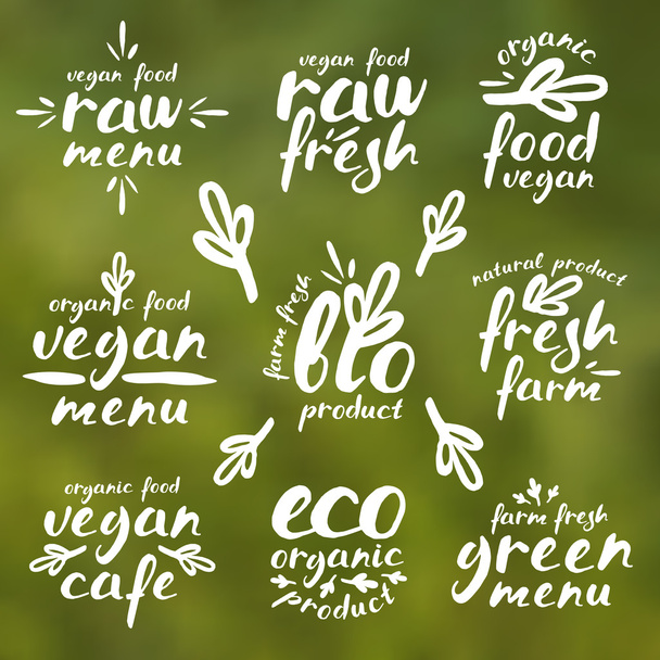 Syrové veganské etikety a štítky  - Vektor, obrázek