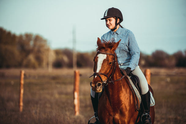 Dívka na koni - Fotografie, Obrázek