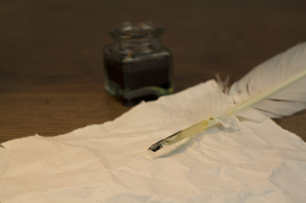 Feather ganzenveer met metalen nib - Foto, afbeelding