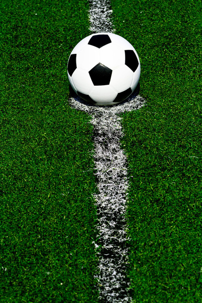 pelota de fútbol sobre hierba verde - Foto, Imagen