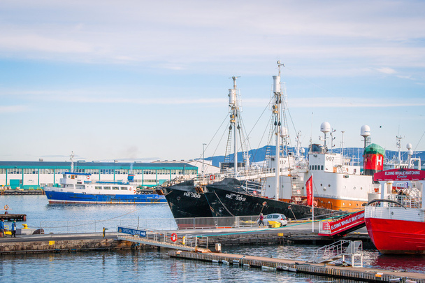 Ships at the Reykjavik harbor in the morning - Photo, Image