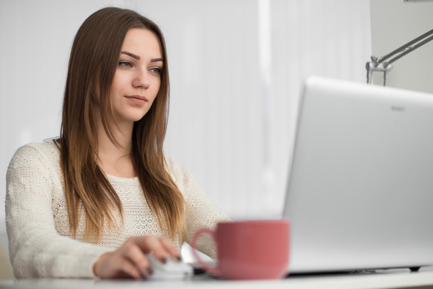 female  worker sitting at laptop - Foto, Imagem