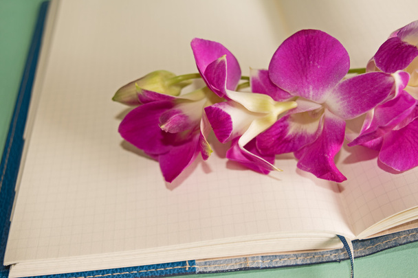 Orquídea púrpura Dendrobium con bloc de notas
 - Foto, imagen