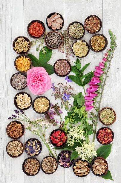 Gyógynövények és virágok - Fotó, kép