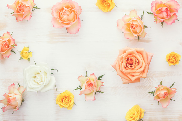 Rose flower background - Foto, Bild