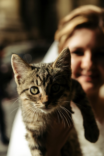 morsian ja sulhanen tilalla pikku kissanpentu
 - Valokuva, kuva