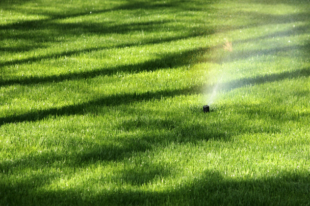 スプリンクラー システムを持つ草に水をまく - 写真・画像