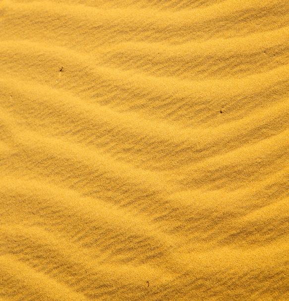 brązowa wydma na pustyni Sahara Maroco  - Zdjęcie, obraz