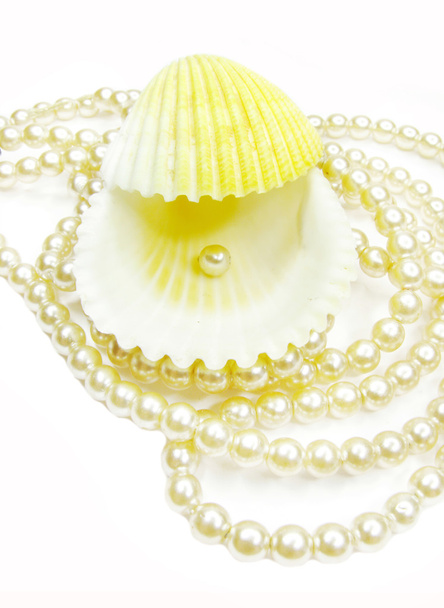 Perlen und Muscheln - Foto, Bild
