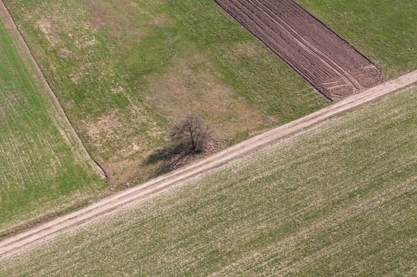 harvest fields in Poland - Fotoğraf, Görsel
