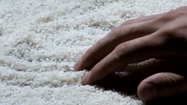 Зерна белого риса
 - Кадры, видео