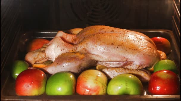cooking duck in oven time lapse - Footage, Video