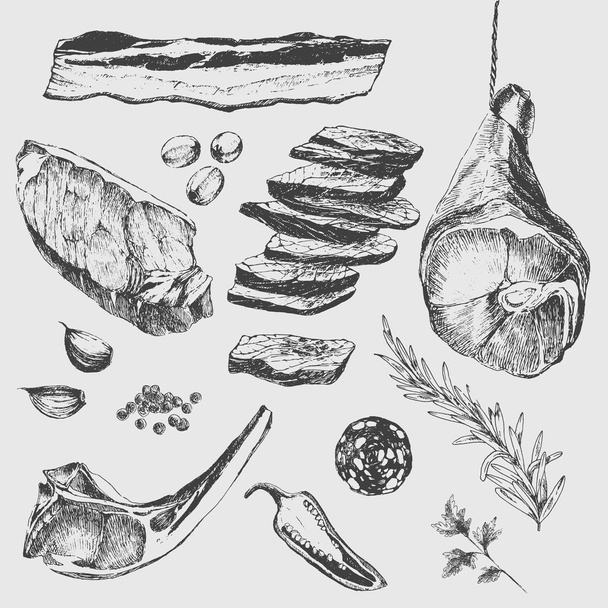vector meat steak sketch drawing designer template. lamb rib, parma ham, sirloin, salami slice, bacon - Вектор, зображення