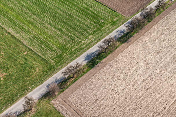 harvest fields in Poland - Fotografie, Obrázek