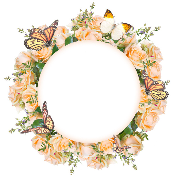 frame of roses and butterflies - Foto, Imagen