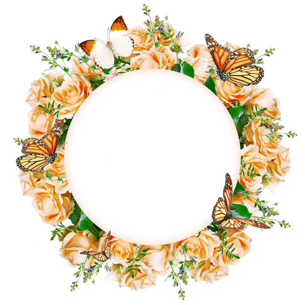 frame of roses and butterflies - Фото, изображение
