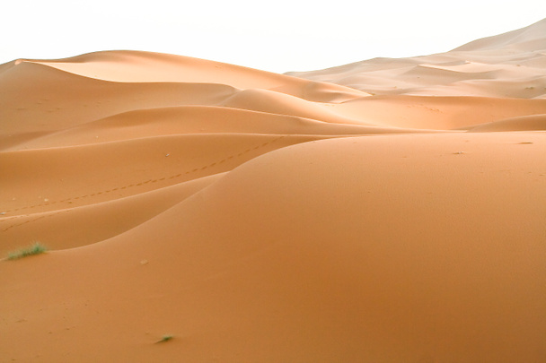 υπόβαθρο της μαροκινής ερήμου αμμόλοφος - Φωτογραφία, εικόνα