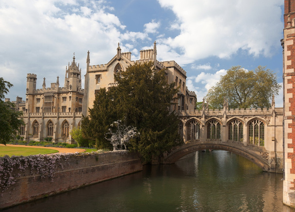St John's College. Cambridge. Royaume Uni
. - Photo, image