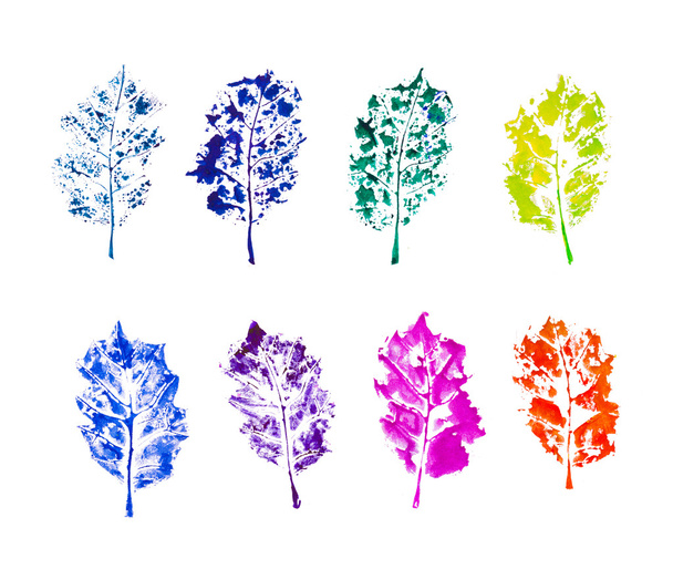 collection of ink colorful leaves - Photo, Image