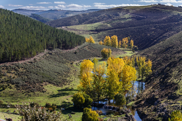 осень в долине
 - Фото, изображение