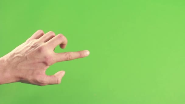 Pessoa mão isolada na tela de fundo verde. Mão esquerda na tecla chroma
 - Filmagem, Vídeo
