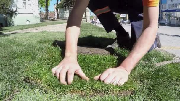  Çim mahalleleri yeni çim yavaş hareket için sabitleme - Video, Çekim