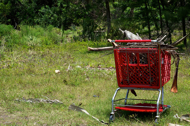 supermarket shopping cart in the wilderness - Photo, Image