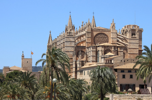 palma de mallorca kathedraal - Foto, afbeelding