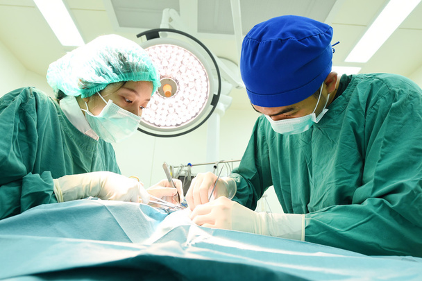 two veterinarian surgeons in operating room  - Foto, Imagem