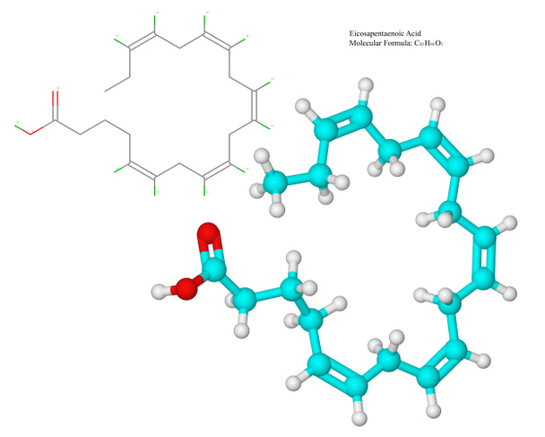Omega-3 mastné kyseliny (Epa) - Fotografie, Obrázek