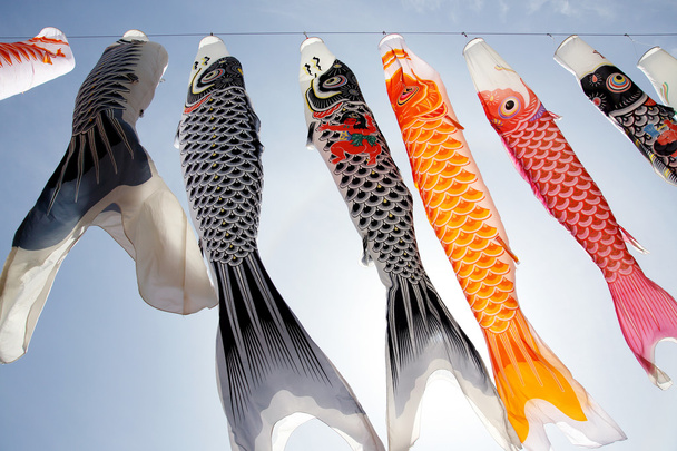 Japanischer Karpfendrachenflieger - Foto, Bild