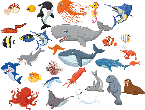 Cartoon sea animals isolated on white background - Vector, Image