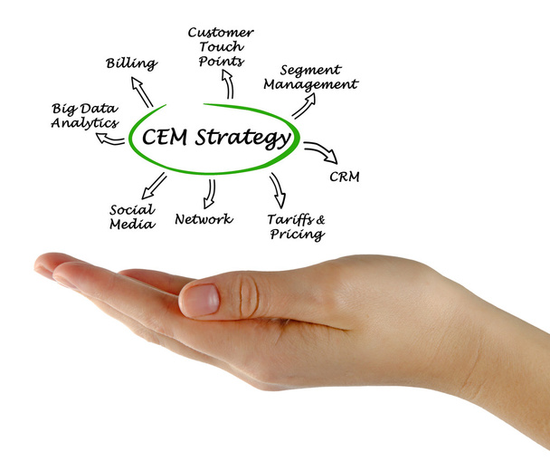 Diagrama de la estrategia CEM
 - Foto, Imagen