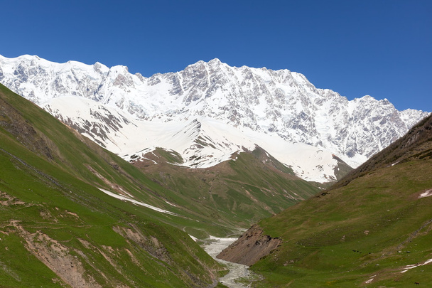 Prados alpinos aos pés do Monte. Shkhara. Aldeia Ushguli. Upper Svaneti. Geórgia
. - Foto, Imagem
