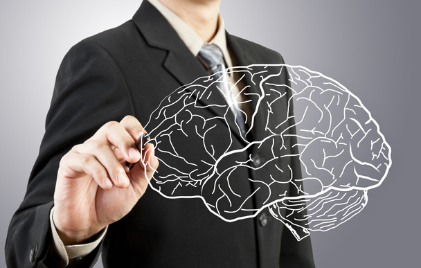 Business man drawing human brain diagram - Фото, зображення