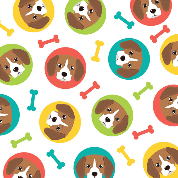 Cute Beagle pattern  - Vector, Image