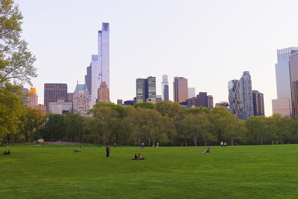 Green lawn and Midtown Manhattan viewed from Central Park South - Fotoğraf, Görsel