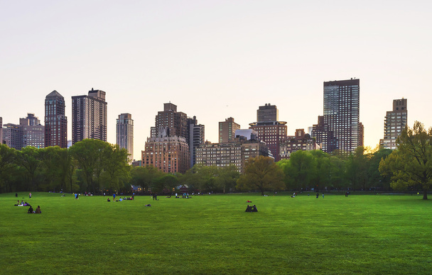 Manhattan et pelouse verte dans Central Park West
 - Photo, image