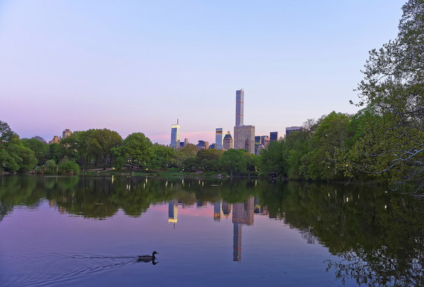 Manhattan tükrözött a víz-és kacsa a Central Parkban - Fotó, kép