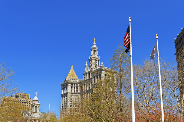 Manhattan Municipal Building of Lower Manhattan - Zdjęcie, obraz