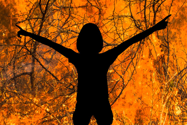 Diablo en llamas
 - Foto, Imagen