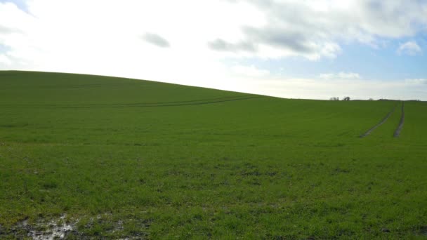 groen veld met blauwe lucht en wolken - Video