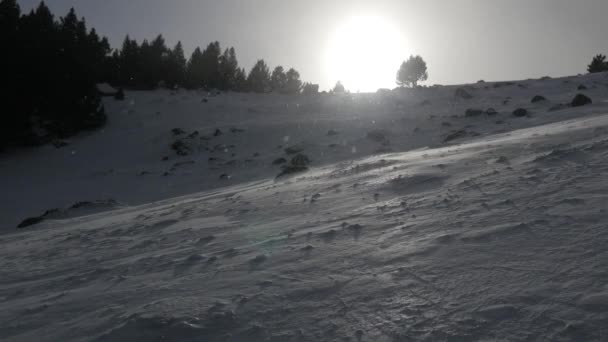 Χιόνι που υπάγονται σε ένα πάρκο του χειμώνα - Πλάνα, βίντεο