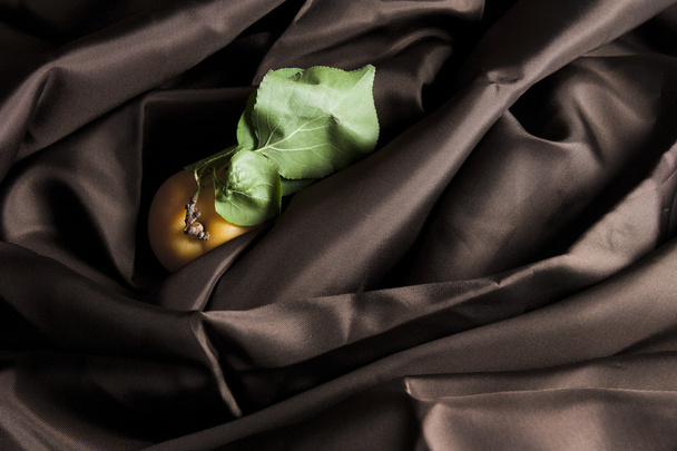 Sárgabarack barna szatén - Fotó, kép