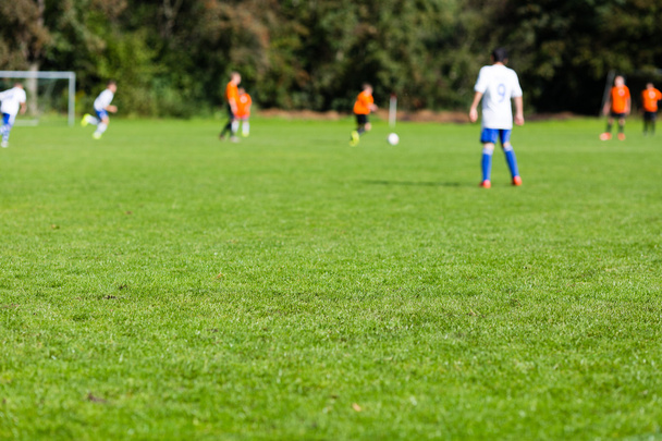 Blurred soccer players on green pitch - Fotoğraf, Görsel