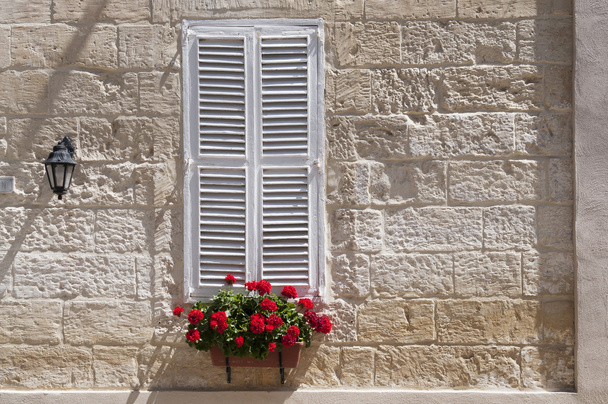 παράθυρο με λευκό παντζούρια - Φωτογραφία, εικόνα