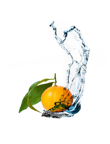 Fresh tangerines with water splash - 写真・画像